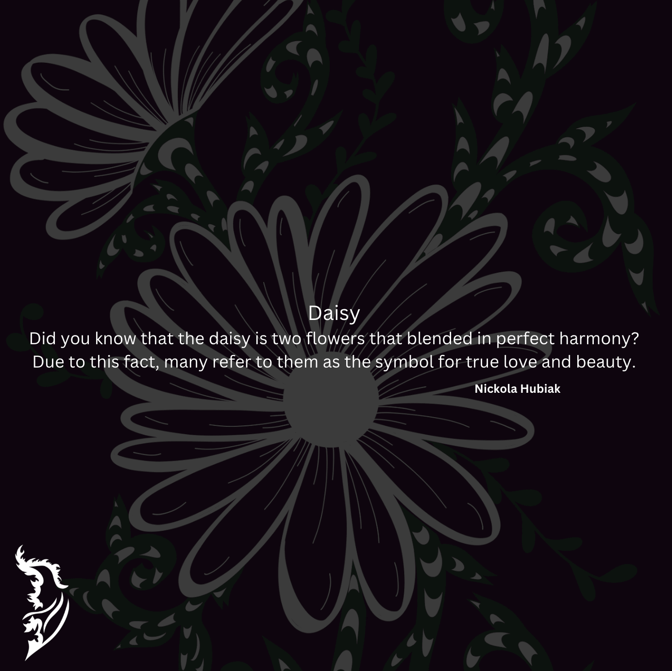 Did you know that the daisy is two flowers that are blended in perfect harmony? Due to this fact, many refer to them as the symbol for true love and beauty.